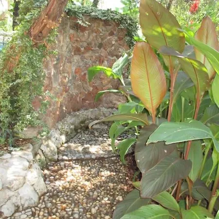 Relax Tiny / Private Pool / Entire Property Holiday home Korcula Town