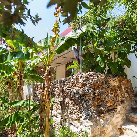 Relax Tiny / Private Pool / Entire * Korčula