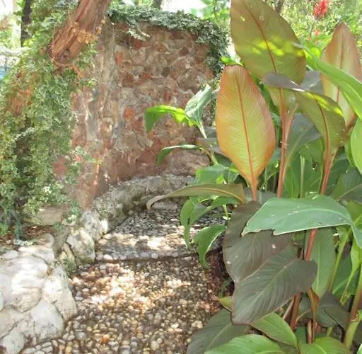 Relax Tiny / Private Pool / Entire Nyaraló Korčula