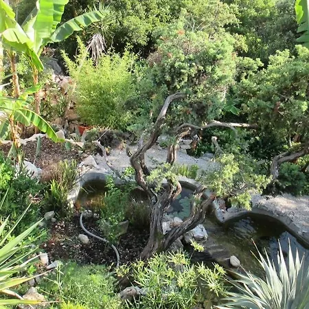 Relax Tiny / Private Pool / Entire Hébergement de vacances Korčula